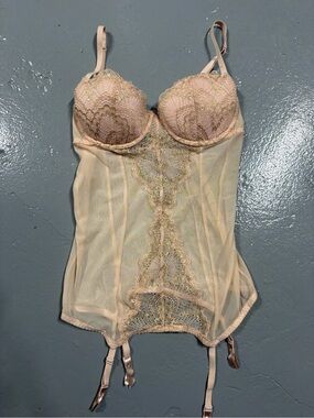 Sheer Lace Bustier in Blush Pink